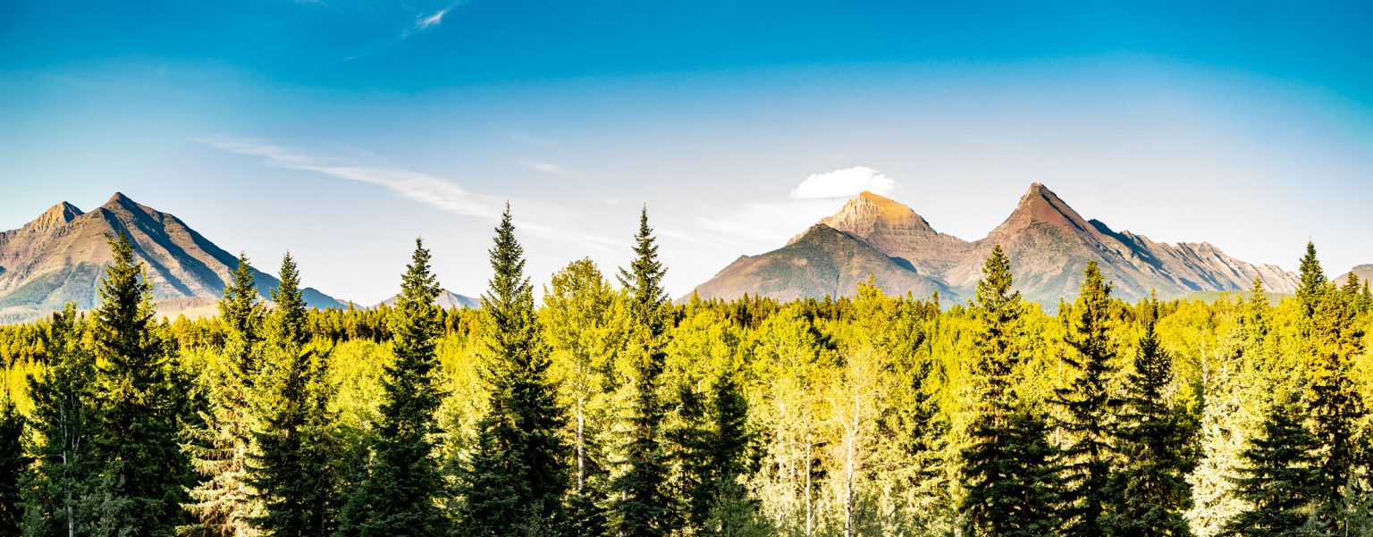 The Way Less Traveled A Bed & Breakfast Near Glacier National Park