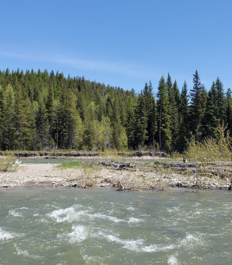 Fall Fly Fishing from Float Boat on North Fork of Flathead River